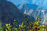 Blick zu Machu Picchu
